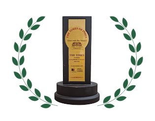 The Times – Summer Scrapbook Activity Award (2020–21)