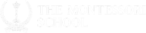 The Montessori School